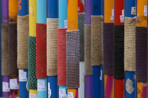 上海儿童体育培训机构的课程与优势(图1)